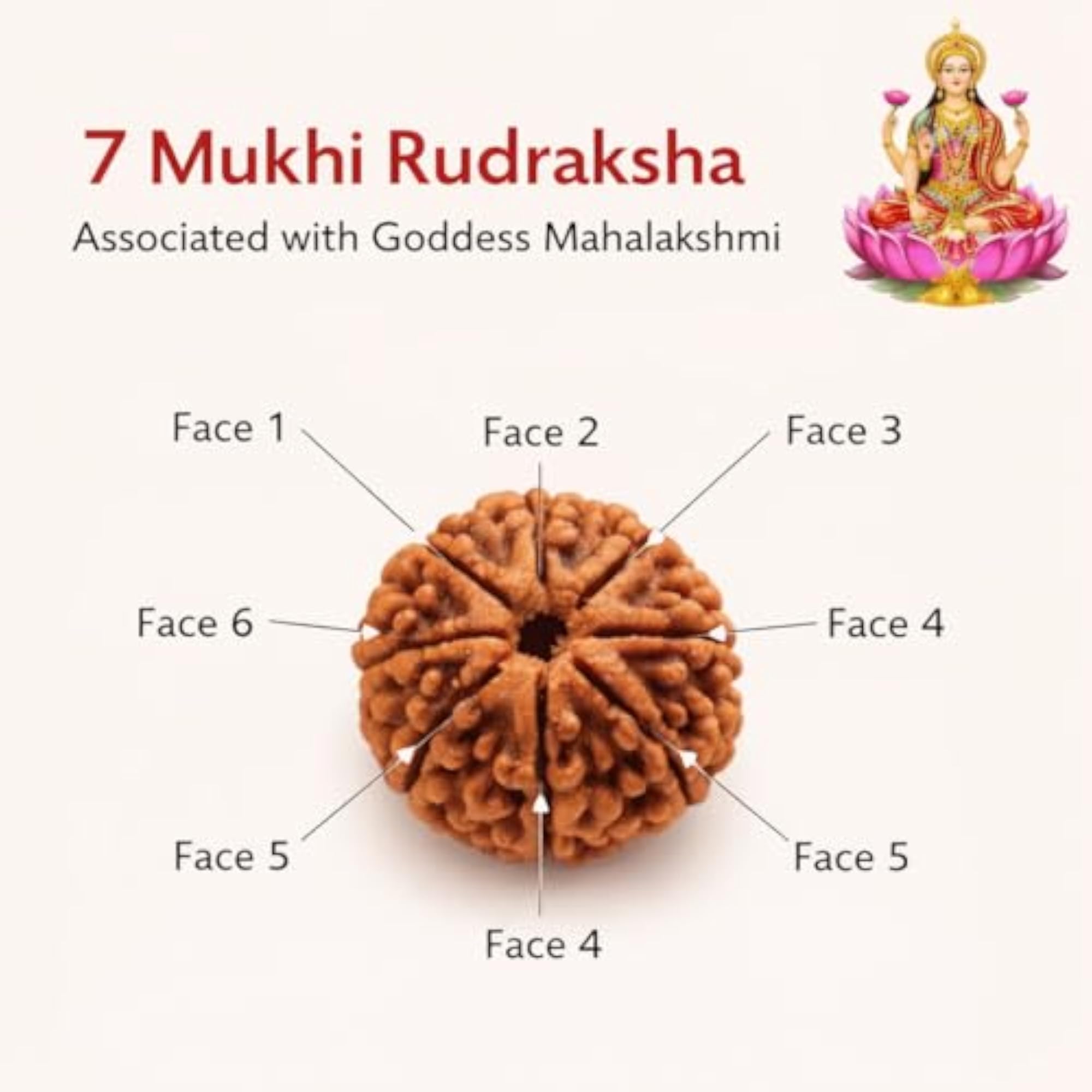7 Mukhi Rudraksha Copper Kada Bracelet for Men